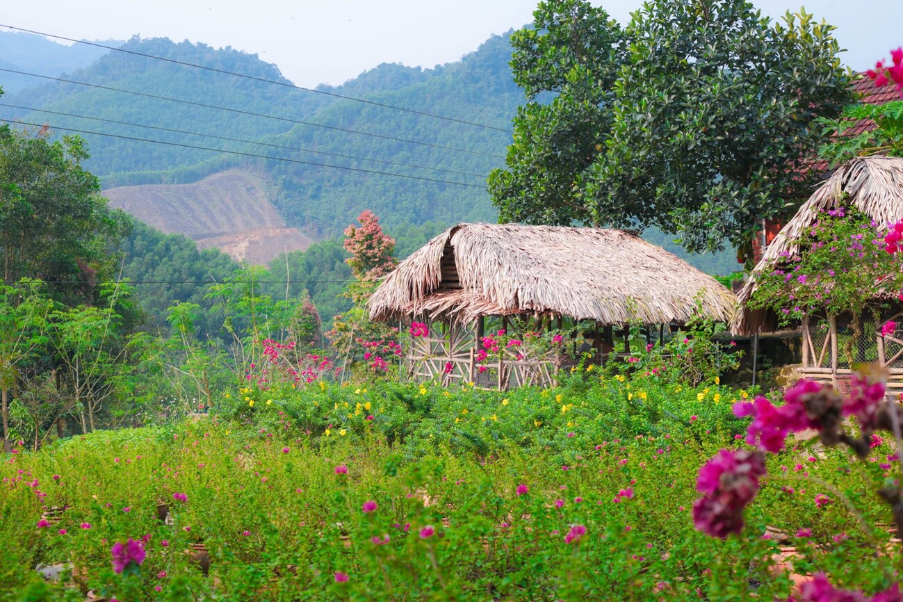 Khu du lịch Suối Hoa Đà Nẵng - Chốn nghỉ dưỡng bình yên 4