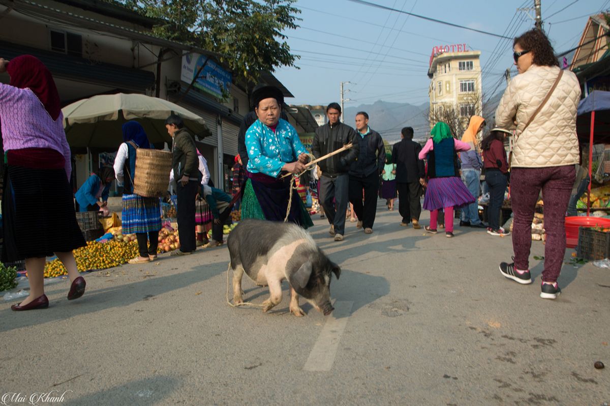 Mộc mạc Chợ phiên Mèo Vạc nơi cao nguyên đá Đồng Văn 10