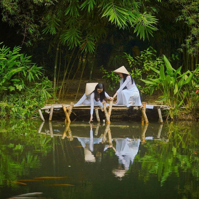 Sơn Trà Tịnh Viên yên bình và hành trình tìm về an nhiên 7