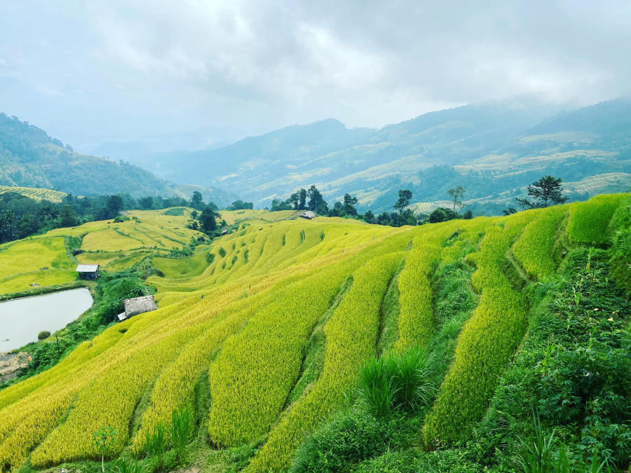 Hà Giang tháng 10 đẹp mê hồn đốn tim những tín đồ mê xê dịch 5