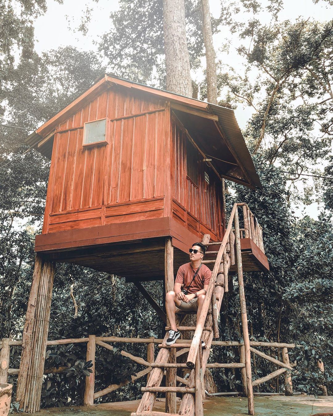 Ghé Ngôi nhà trên cây Dambri hòa mình vào núi rừng Tây Nguyên đại ngàn 8