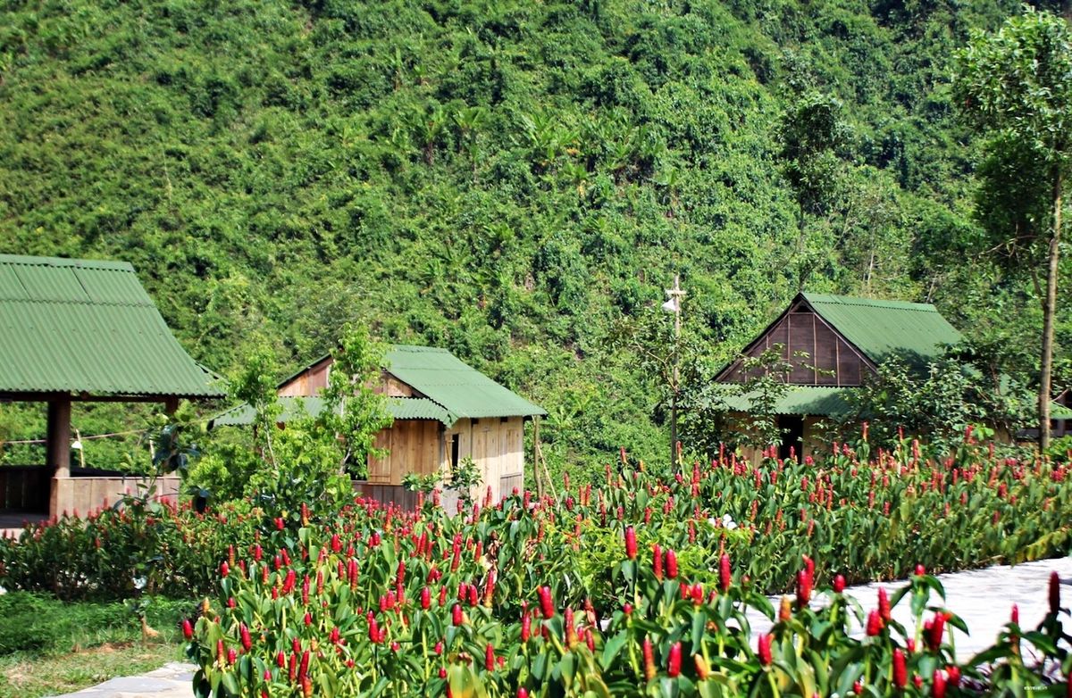 Xõa banh nóc với trải nghiệm trượt thác dài 3km thót tim ở Thác nước Hòa Phú Thành, Đà Nẵng 3