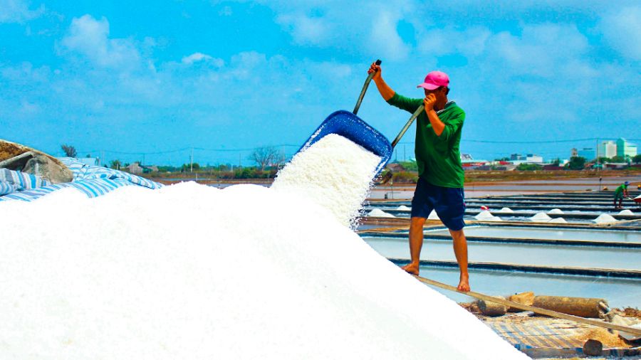 Nghề muối Tân Thuận mang tinh hoa biển khơi đến với đời sống thường nhật 4