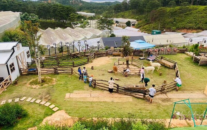 Khám phá Nông trại cừu Frenzy Farm, thế giới động vật đáng yêu 7