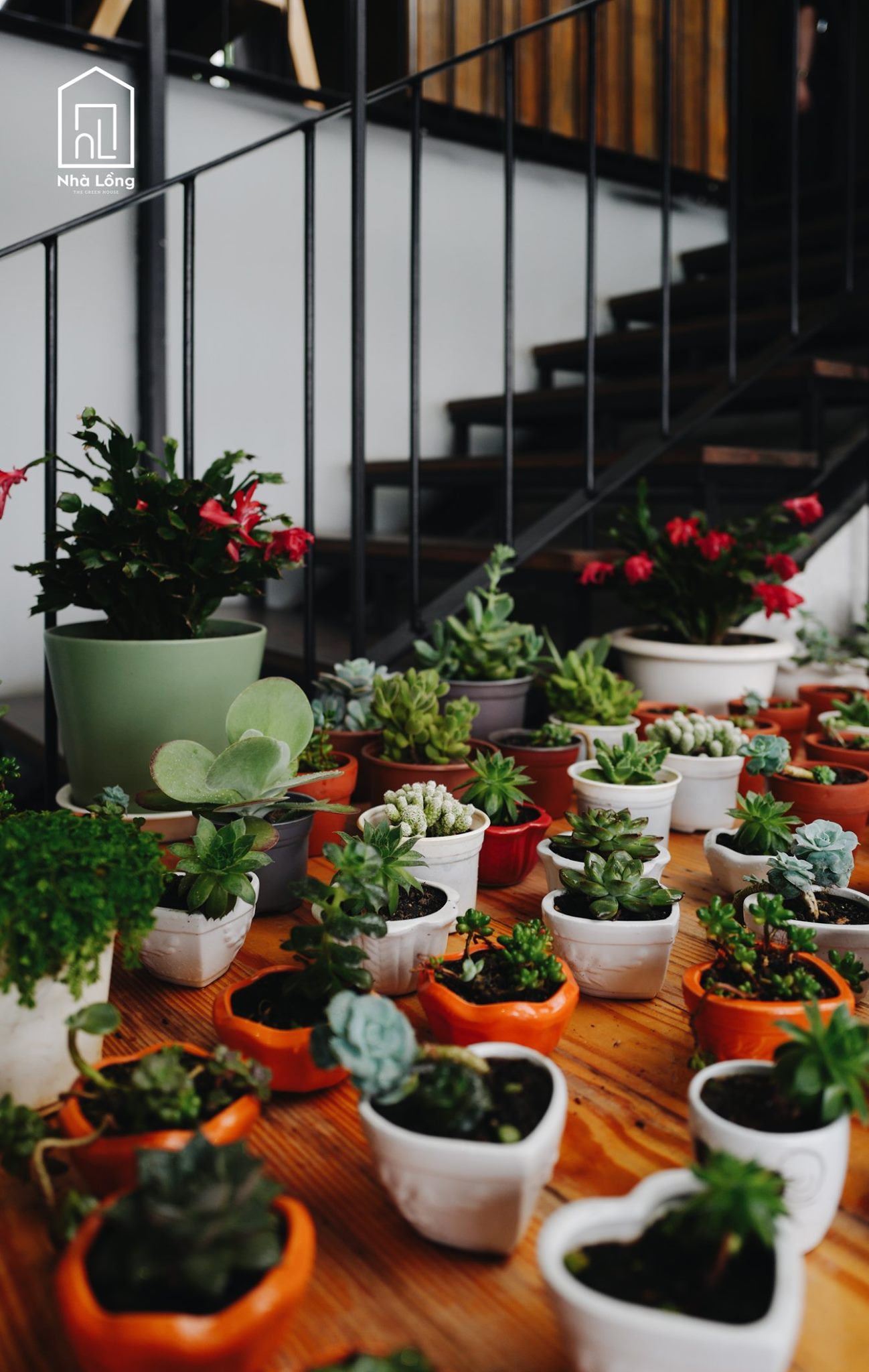 Nhà Lồng Coffee – Quán café lung linh với view thung lũng cực đẹp 34