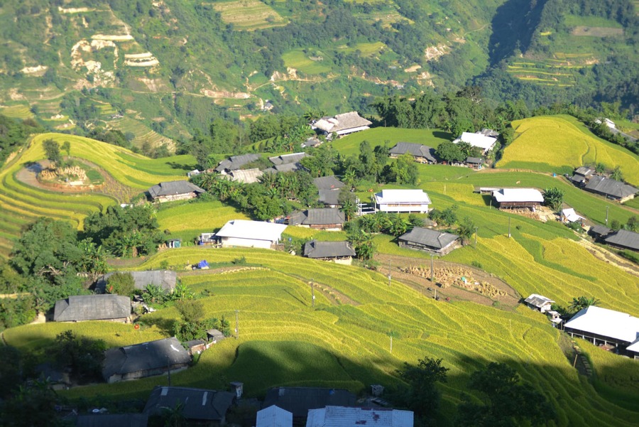 Mùa vàng Hoàng Su Phì cực lãng mạn trong từng bức ảnh của bạn Thu Hương 2