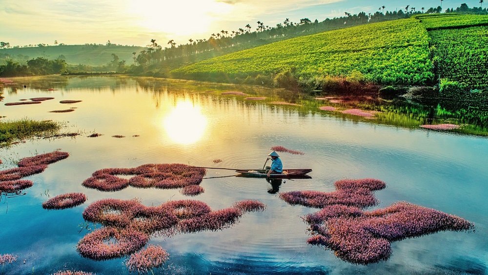 Độc đáo Hồ tảo hồng ở B