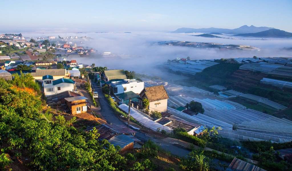 Làng hoa Thái Phiên - Thiên đường quy tụ các loài hoa Đà Lạt 5