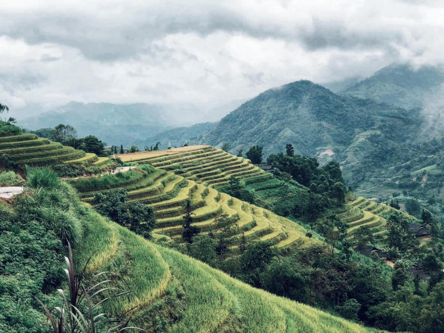 Vi vu Hà Giang đi tìm bình yên trên vùng cao xinh đẹp 4