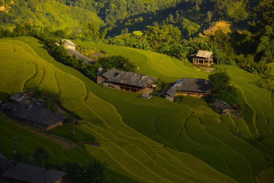 Mùa vàng Hoàng Su Phì cực lãng mạn trong từng bức ảnh của bạn Thu Hương 6