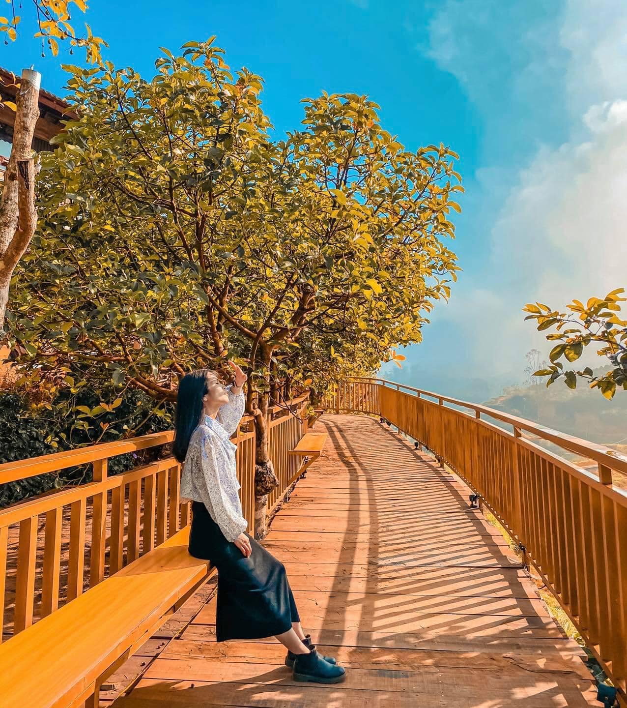 Mộc Trà Farm - Quán cà phê với con đường đẹp như phim Hàn Quốc 13