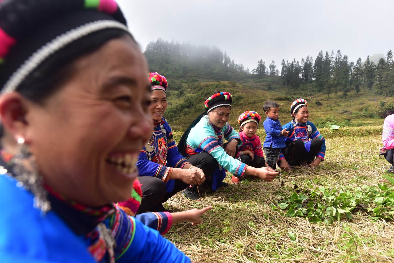 Tìm hiểu về người Phù Lá ở Hoàng Su Phì - Hà Giang 4