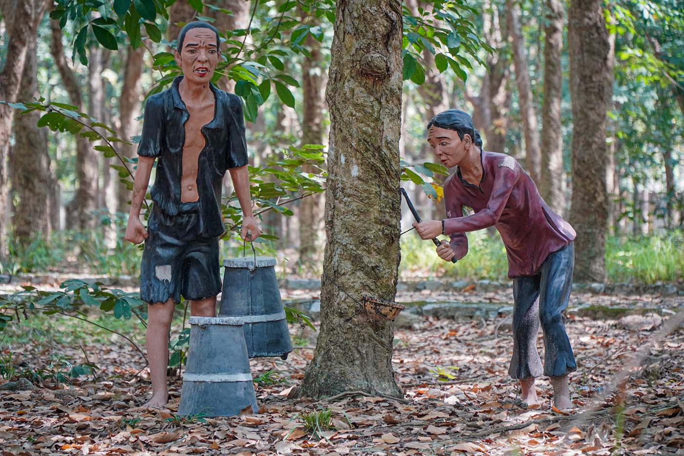 Di tích lịch sử Vườn cao su thời Pháp thuộc, vị chứng nhân của thời cuộc 8