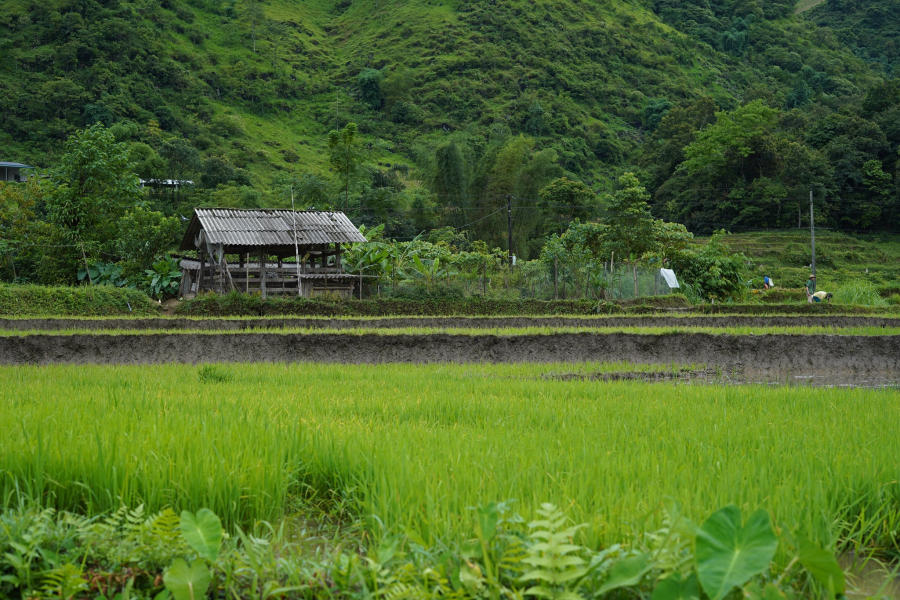 Ngắm nhìn Bản Du Già thanh bình vào mùa đẹp nhất 3