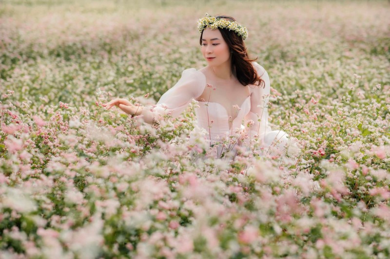 Lạc lối giữa vườn hoa tam giác mạch Đà Lạt đẹp mê hồn 5