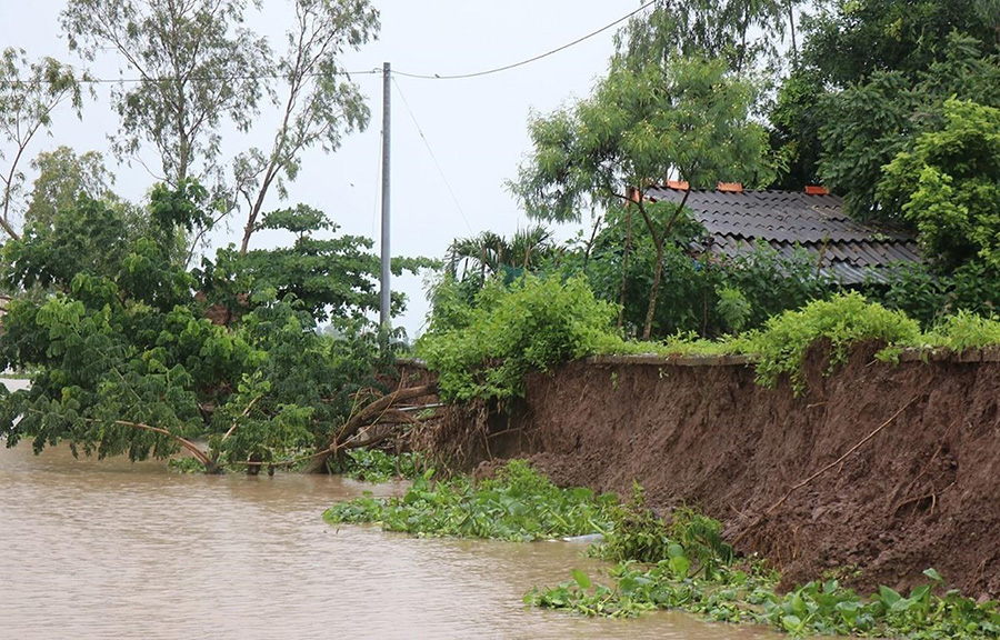 Rừng phòng hộ biển Tây và lá chắn thiên nhiên vững chắc của Cà Mau 3