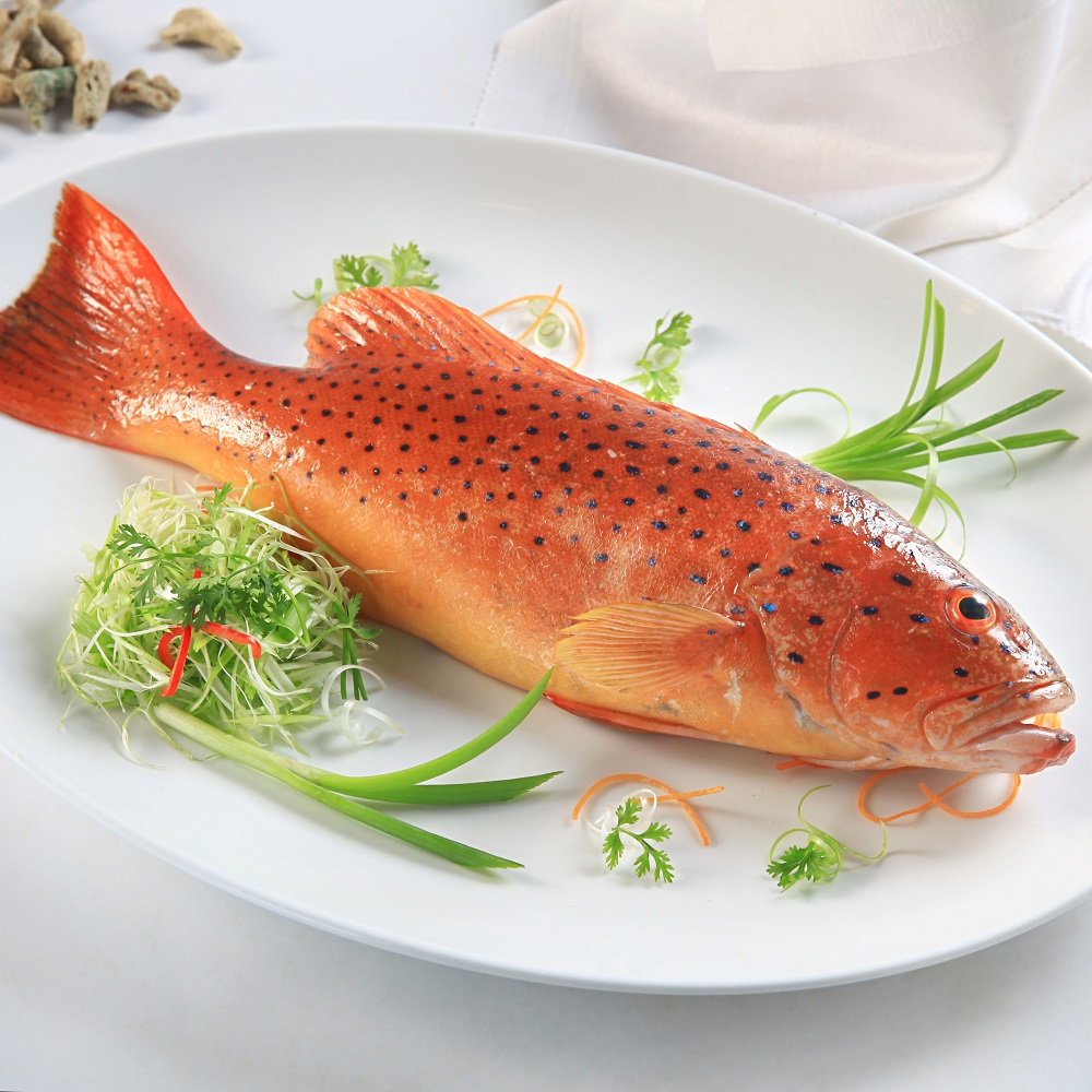 Lưu ngay đặc sản Phú Quý thơm ngon bạn nhất định phải thử 8