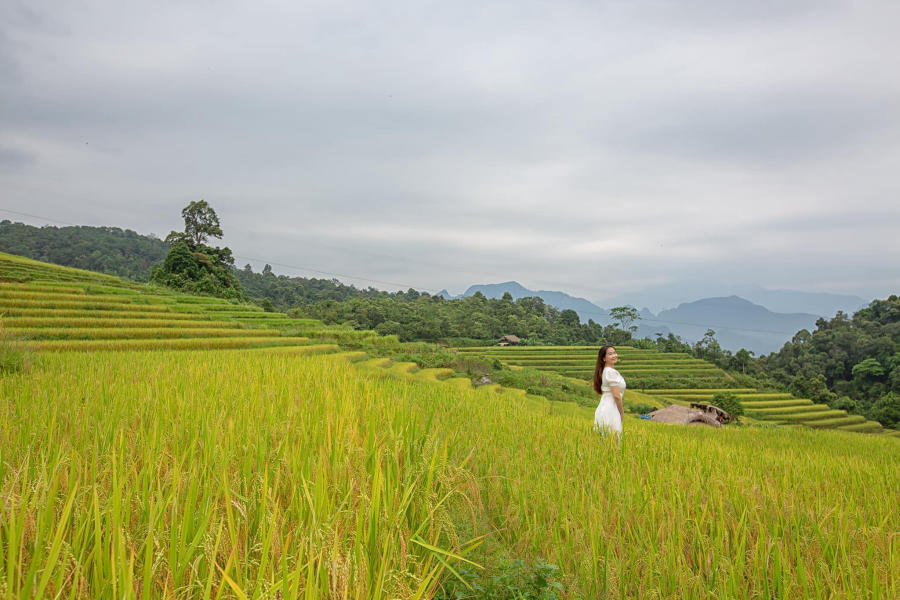 Mùa vàng Khuổi My tựa như tranh vẽ trên cao nguyên đá Hà Giang 6