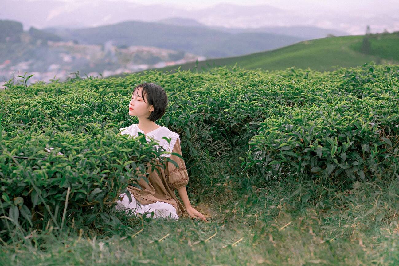 Đồi chè Cầu Đất Coffee - Nông trại từ những năm 1927 9