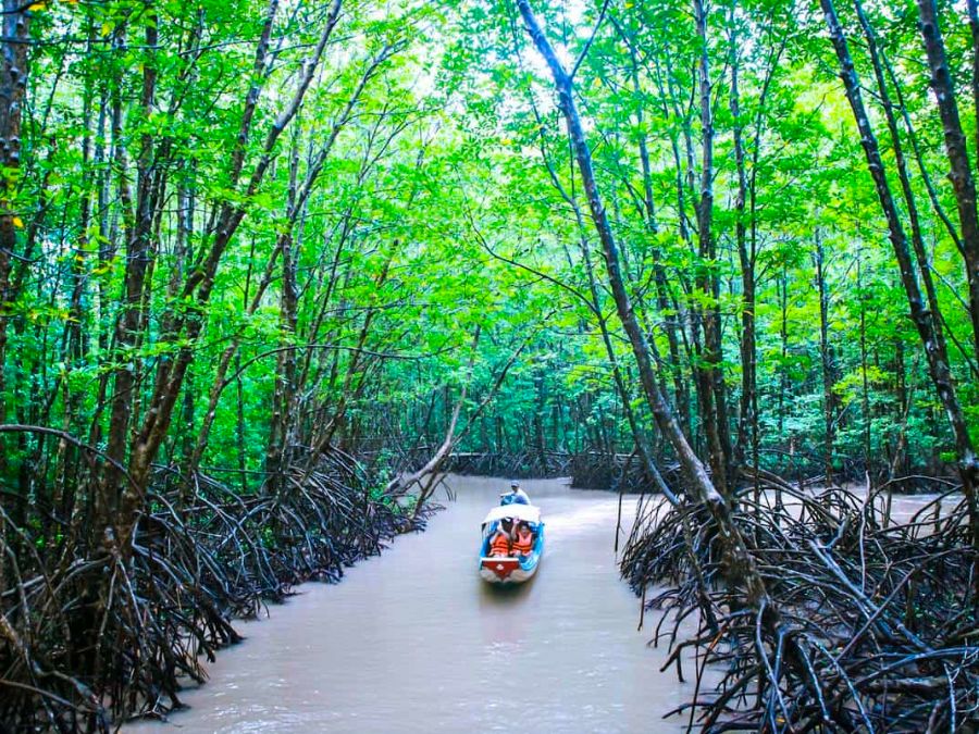 Hành trình bơi xuồng bắt ba khía Đất Mũi cực mới lạ 3