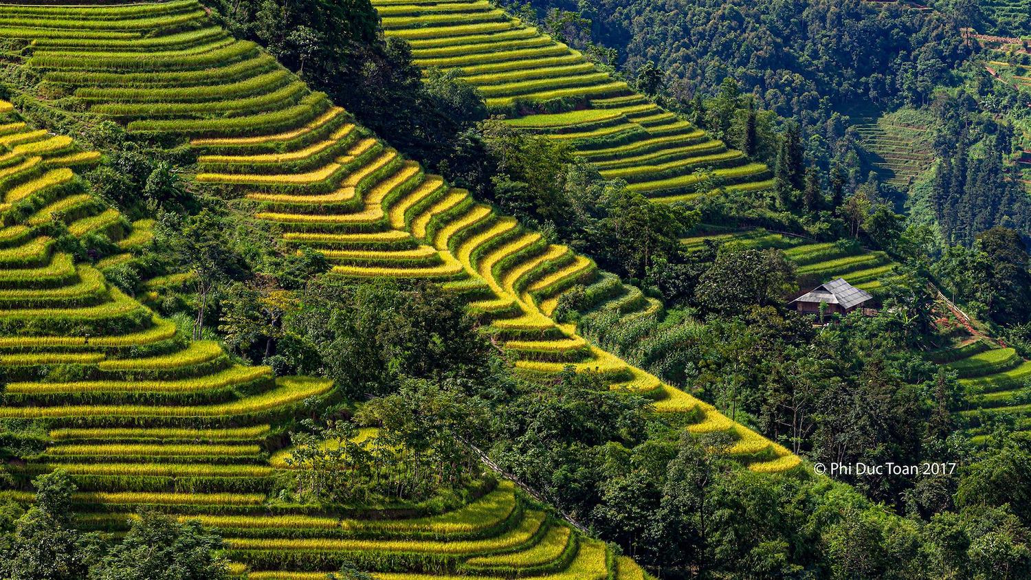 Đến Bản Luốc - Sán Sả Hồ để ngắm thửa ruộng bậc thang rộng nhất Hoàng Su Phì 2