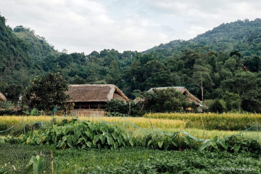 Làng quê Hà Giang yên bình vào mỗi buổi chiều trên cao nguyên đá 13