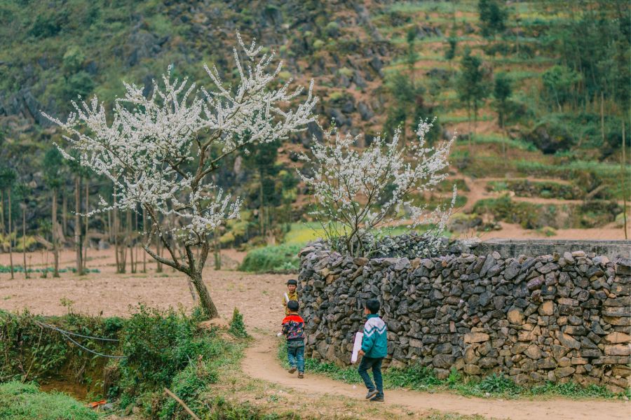 Review Hà Giang, khám phá bức tranh đời thường nơi cao nguyên đá bình yên 6