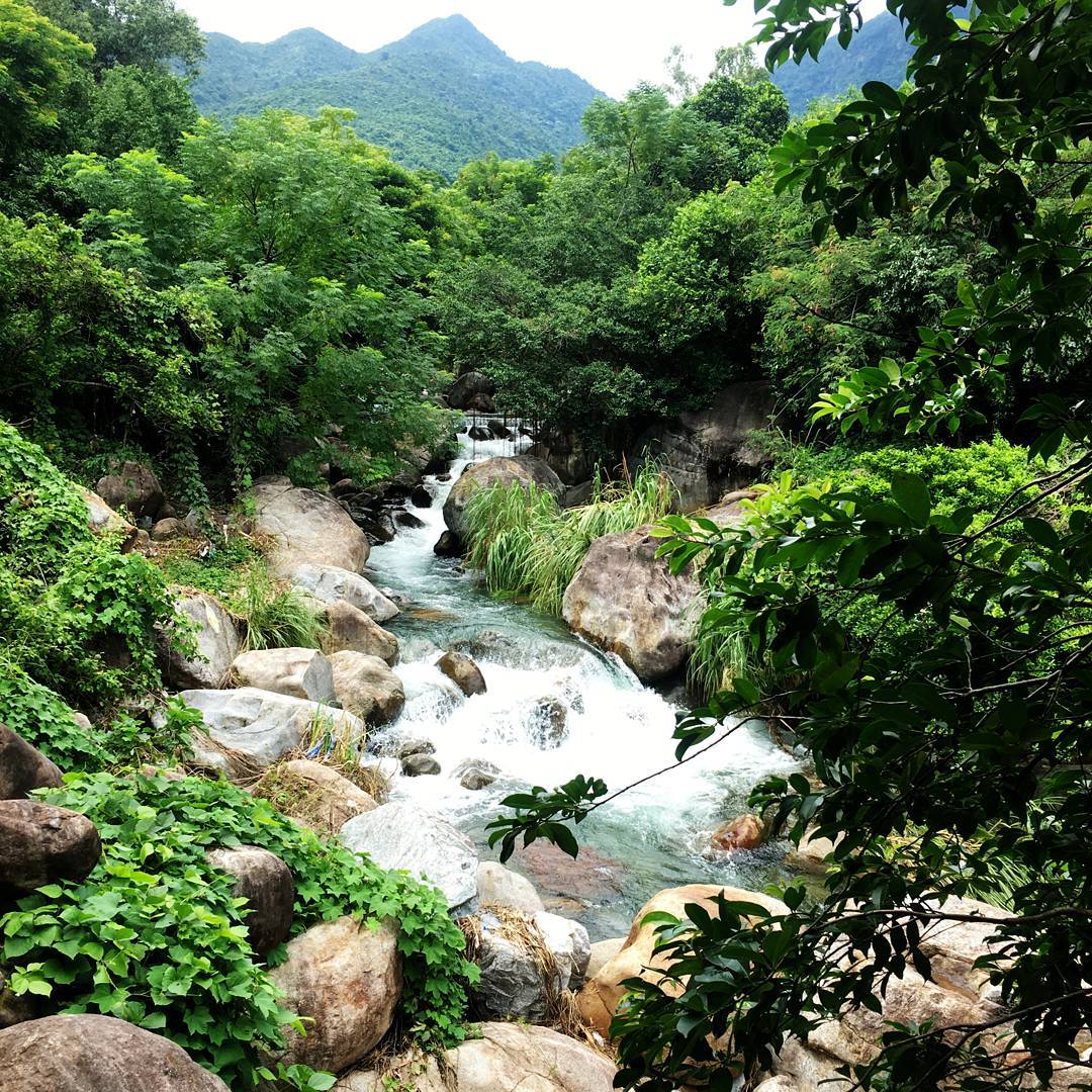 Khu du lịch Suối Lương Đà Nẵng – Vẻ đẹp trữ tình nên thơ dưới chân đèo Hải Vân 6