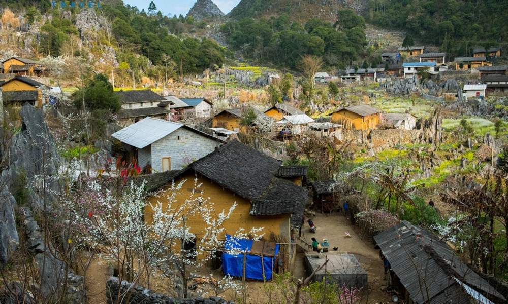 Lịch trình khám phá Hoàng Su Phì tự túc 8N7Đ 10