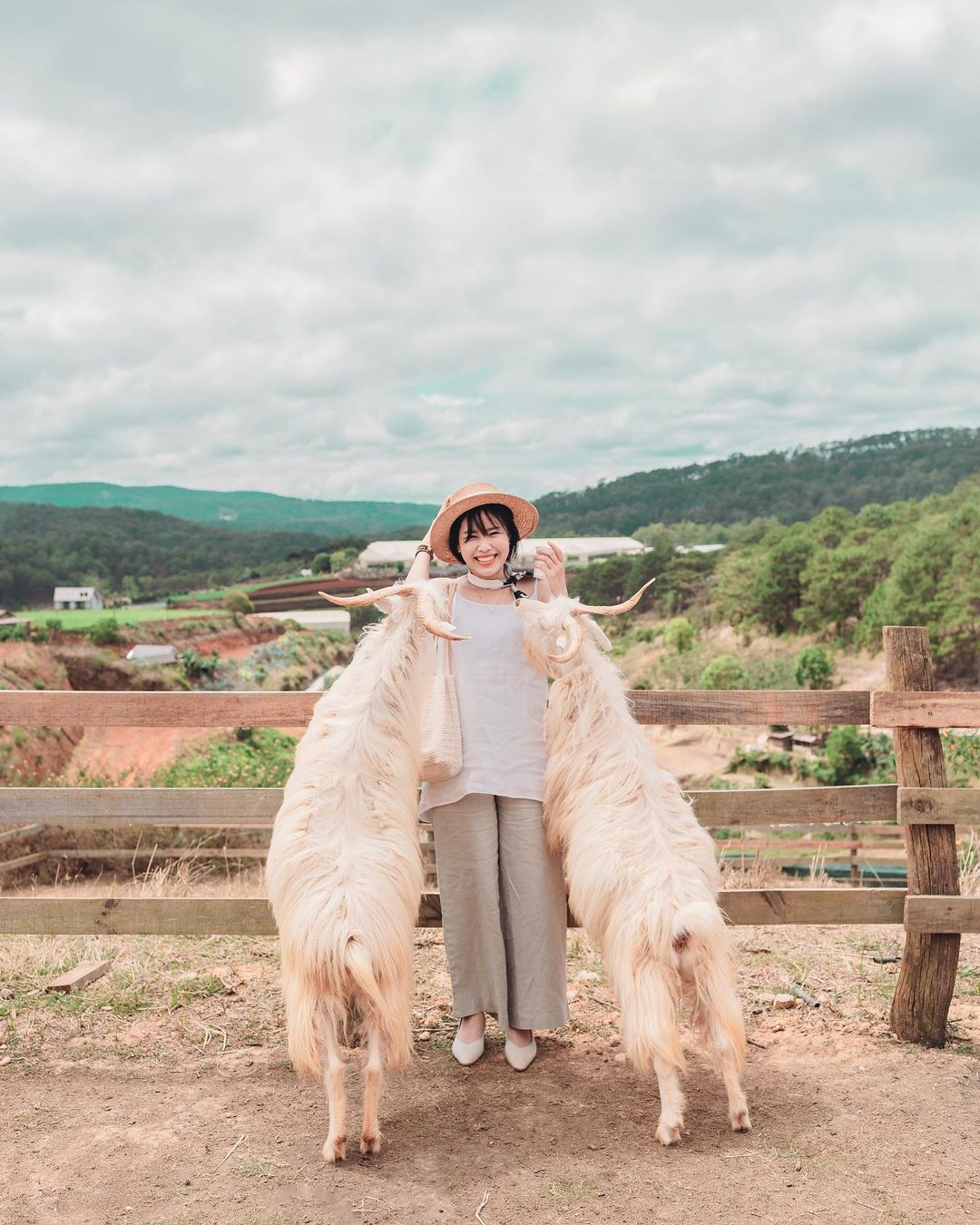 Chika Farm Đà Lạt, trải nghiệm làm nông dân sống ảo tại trang trại châu Âu 15