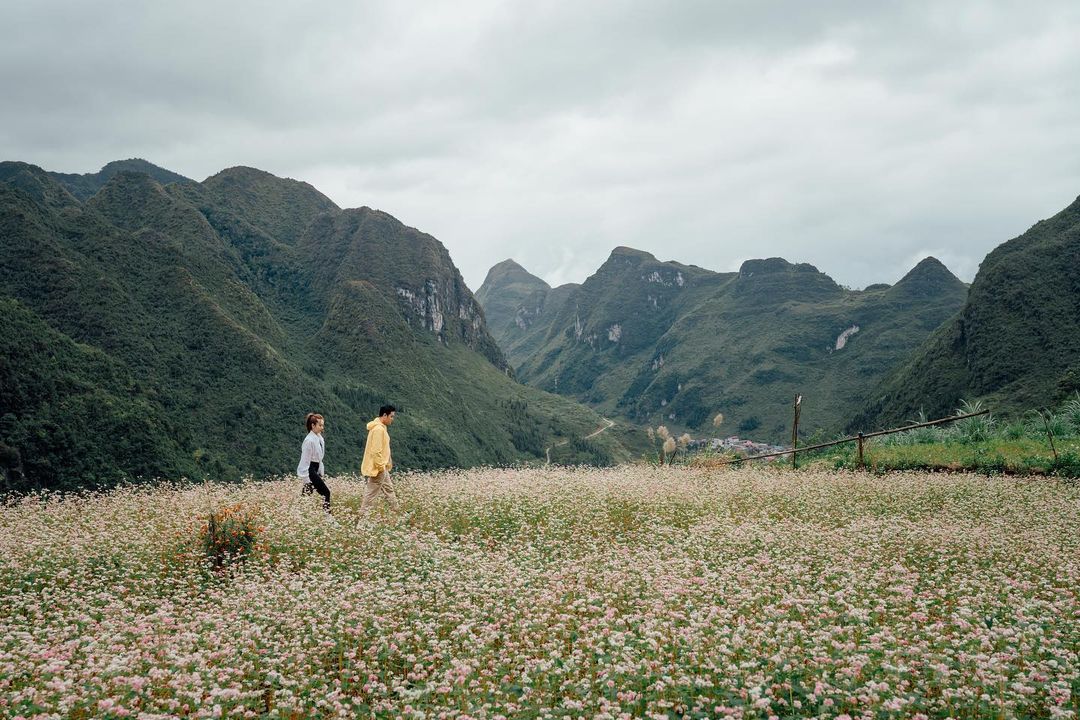 Review mùa hoa tam giác mạch Hà Giang qua thước phim của Quang Vinh - Yến Trang 14