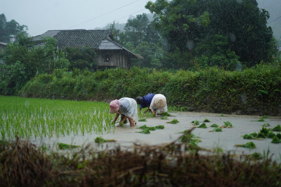 Ngắm nhìn Bản Du Già thanh bình vào mùa đẹp nhất 9