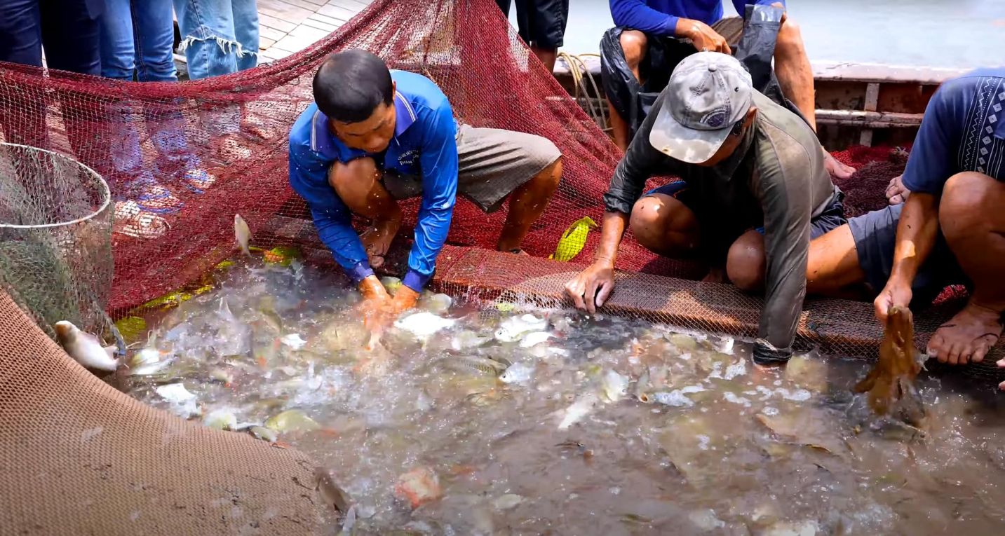 Khu du lịch sinh thái Mỹ Phước Thành, miền Tây thu nhỏ giữa đất Đồng Tháp 9