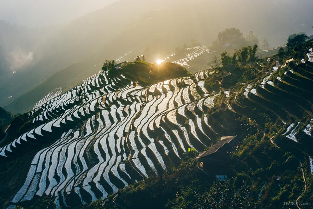 Lịch trình khám phá Hoàng Su Phì tự túc 8N7Đ 2