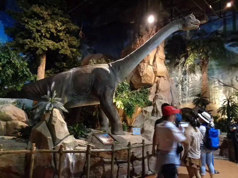 Phá đảo khu vui chơi Fantasy Park Bà Nà Hills từ A đến Z 13