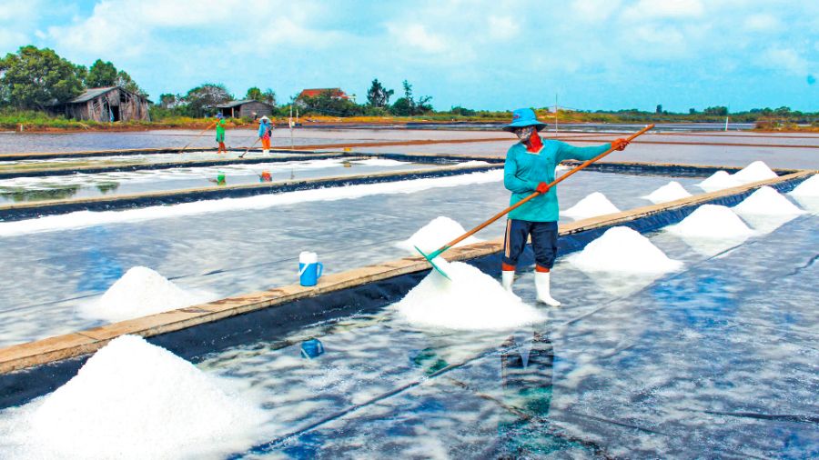 Nghề muối Tân Thuận mang tinh hoa biển khơi đến với đời sống thường nhật 2