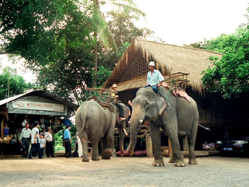 Buôn Đôn, vẻ đẹp hùng vĩ giữa bạc ngàn Tây Nguyên 2