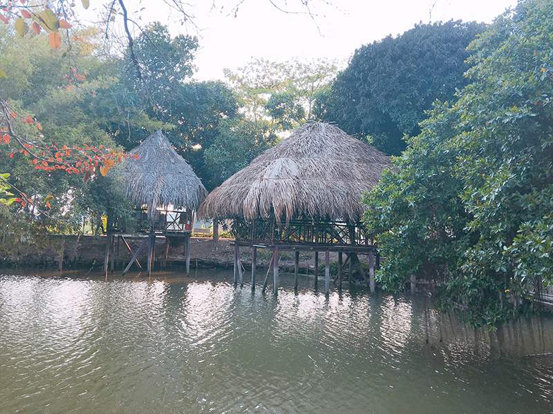 Đến Nhà hàng Hoa Sứ Cần Thơ để ăn ngon và nghe đờn ca tài tử 4