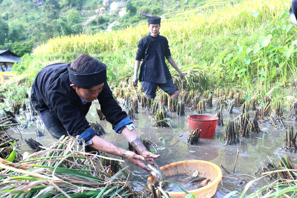 Review Bản Phùng - Bức tranh thiên nhiên và con người La Chí 7