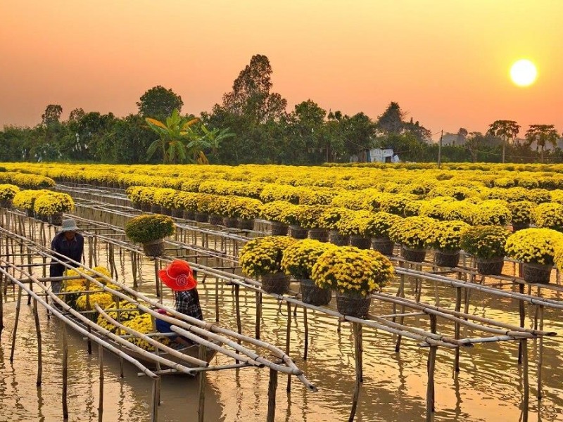 Xuôi về miền Tây tham quan 9 điểm du lịch Đồng Tháp nổi tiếng 3