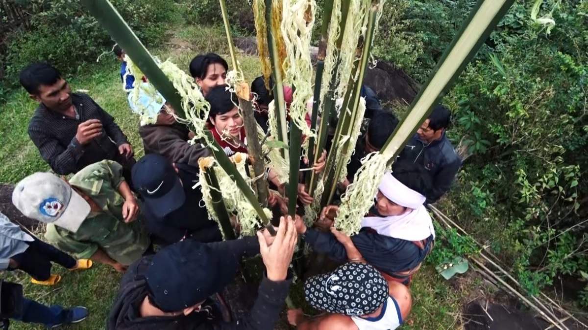 Khu dự trữ sinh quyển Kon Hà Nừng, món quà từ Mẹ thiên nhiên 4