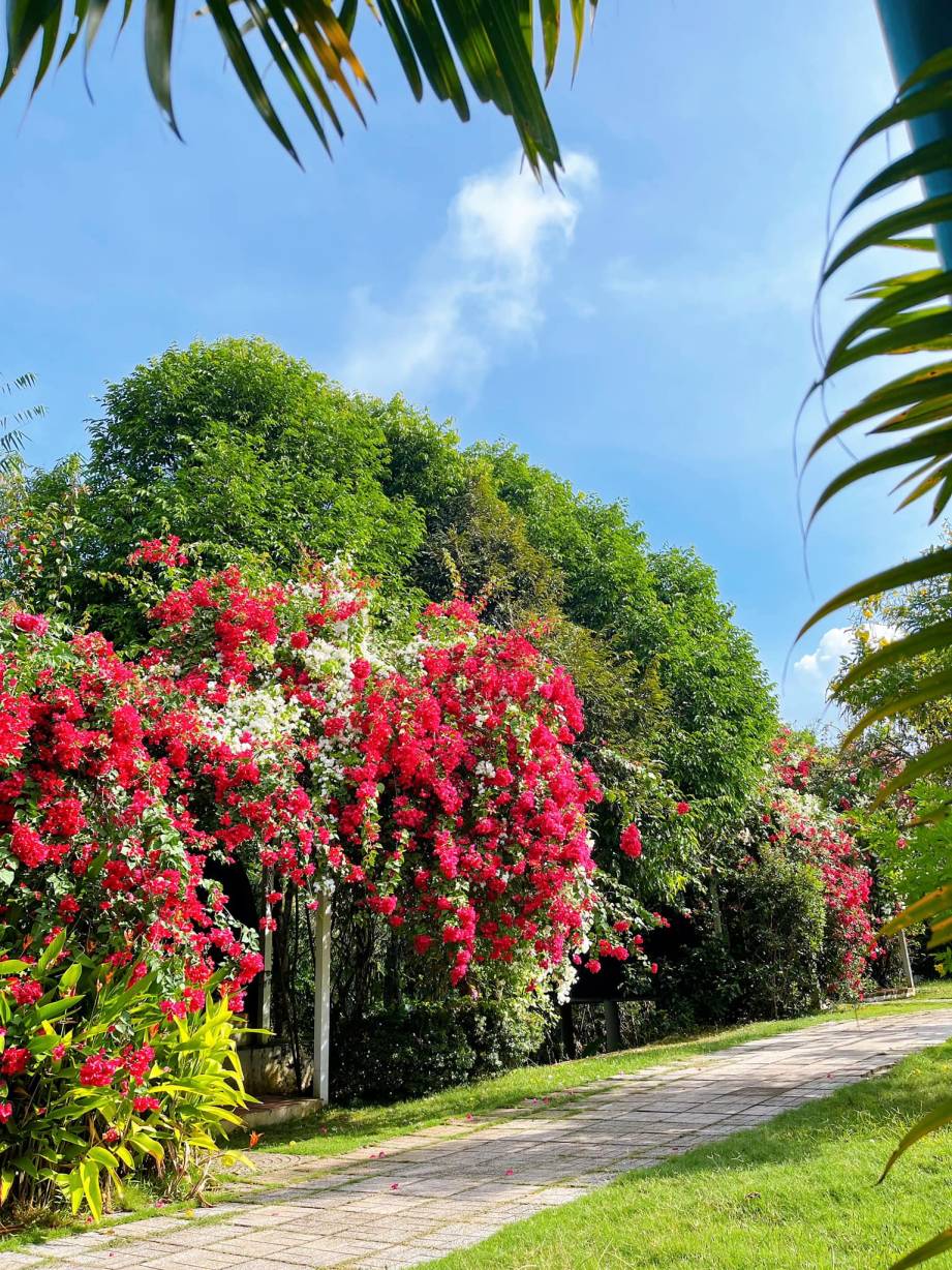 Khu du lịch Thảo Thiện Garden, điểm vui chơi nghỉ dưỡng thả ga tại Đồng Nai 4