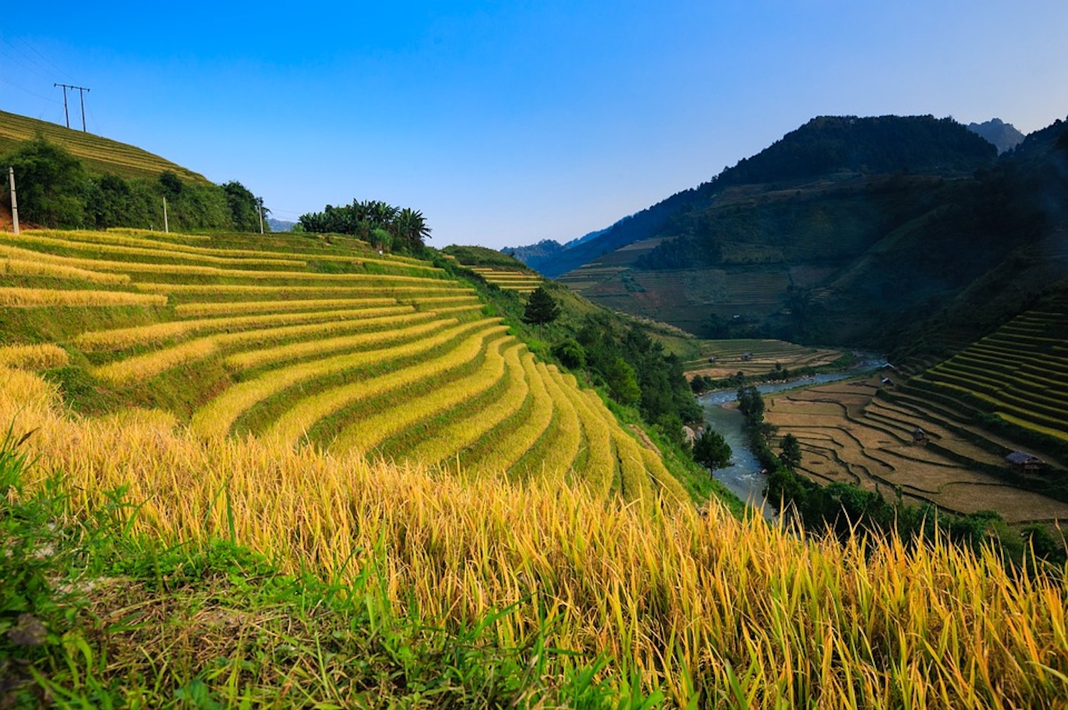 Đến Thông Nguyên để lòng an yên giữa trời Hoàng Su Phì 5