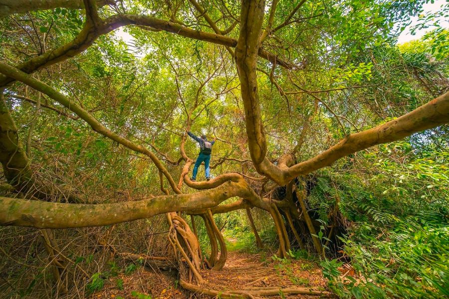 Chuyến đi trải nghiệm sân chim Vàm Hồ Bến Tre đầy thú vị 5