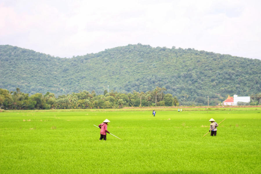 Lang thang Bảy Núi An Giang tìm về một miền quê thanh bình 6