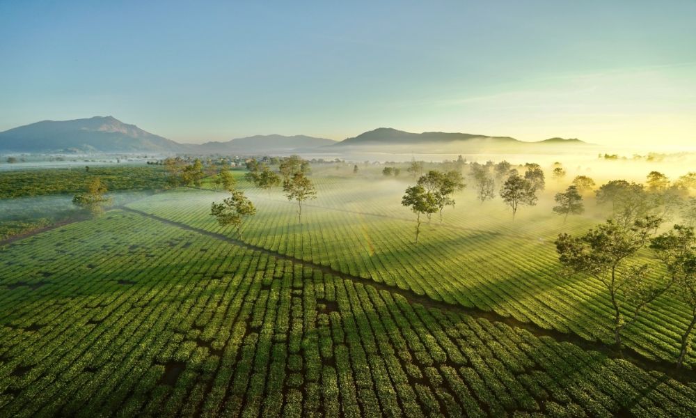 Khám phá Biển Hồ Chè giữa lòng cao nguyên rộng lớn 7