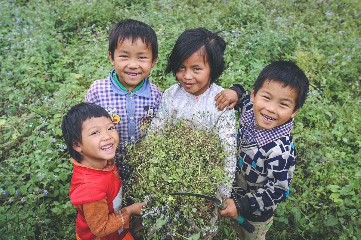 Kinh nghiệm di lịch Hà Giang tự túc vào tháng 5 - Mùa gây thương nhớ 10