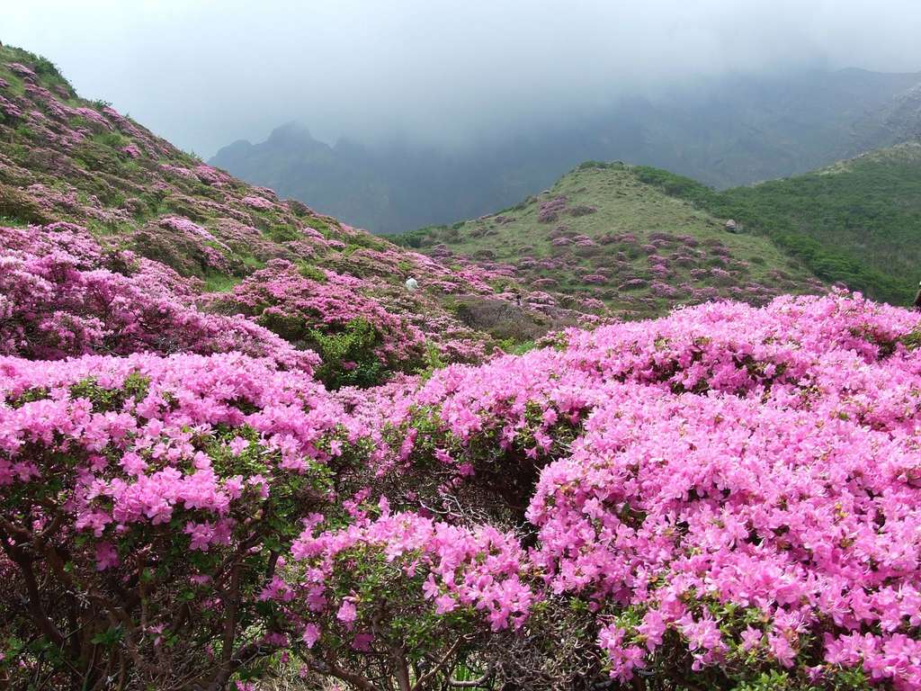 Trekking Tây Côn Lĩnh - Hành trình tận hưởng cảm giác làm chủ đất trời 4