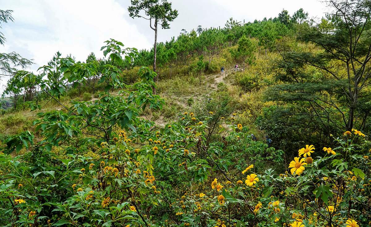 Trekking đỉnh Chư Nâm, chinh phục nóc nhà của cao nguyên Pleiku 6