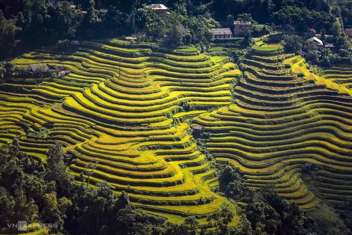 Đến Thông Nguyên để lòng an yên giữa trời Hoàng Su Phì 2